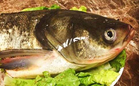 家鄉(xiāng)的魚頭湯作文