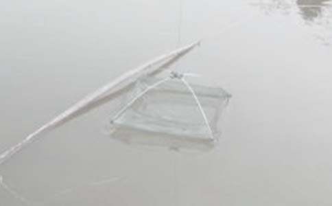 С��̰����O�W(w��ng)ˇ�g(sh��)