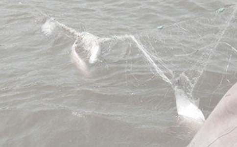 ���H�ĝO�W(w��ng)����