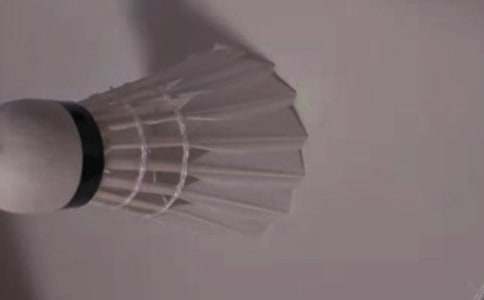 �����T����ͥ��ë����(zh��n)����2ƪ