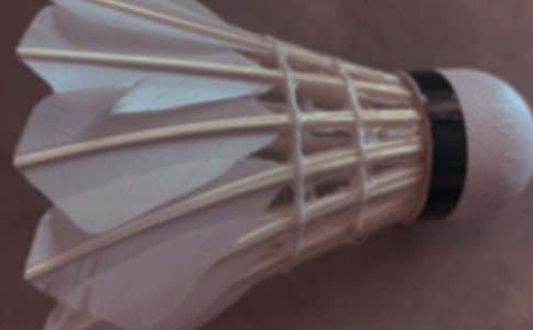 我的課余生活——打羽毛球