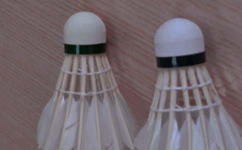 一件快樂的事——打羽毛球_750字