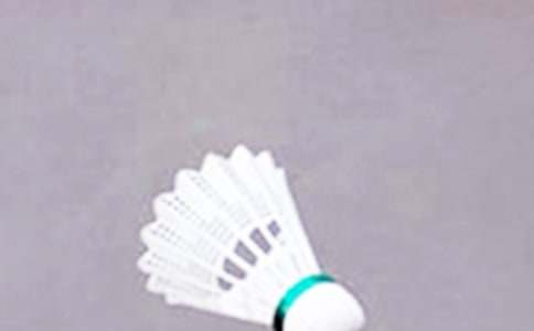 �ҌW(xu��)��(hu��)�˴���ë��������400�֣�ͨ��19ƪ��