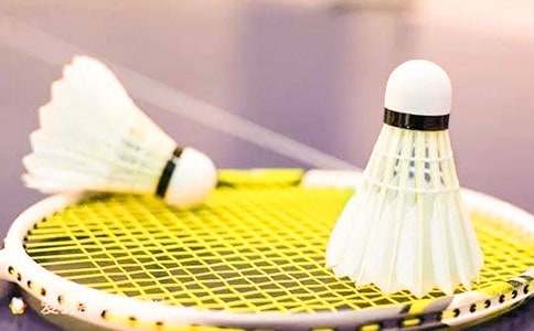 ����ë��Ŀ옷����550��