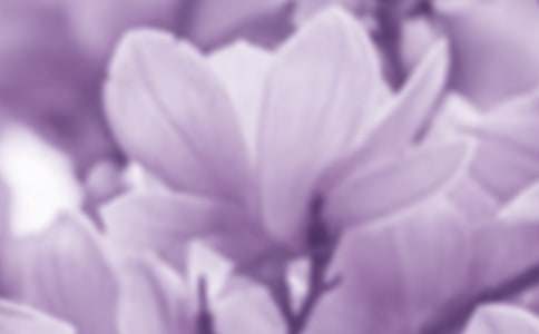 �茑���������m��������