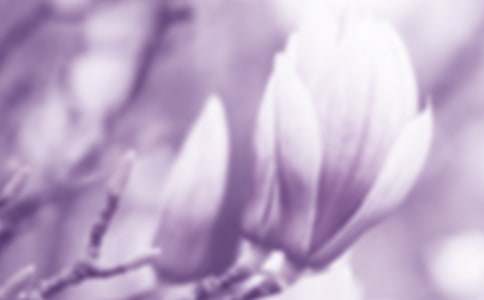 ���m���_�����A�M����