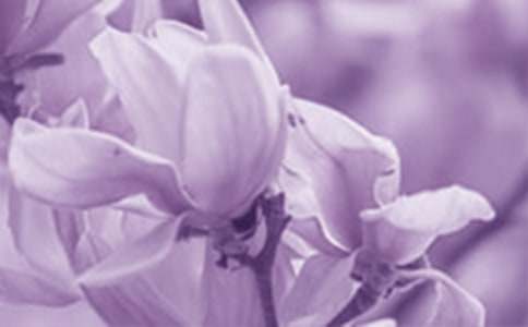 �茑(xi��)���m���ă�(y��u)�����ġ���Ʒ��