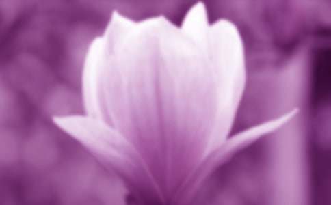 ���m�����ģ�ͨ��16ƪ��