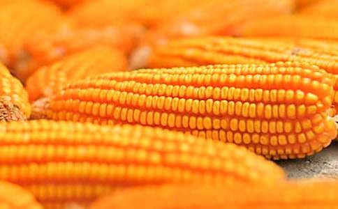 �u���׵�����400��