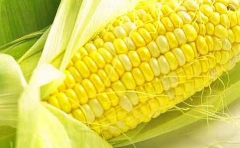 ���l(xi��ng)������-�P(gu��n)�����׵�����600��