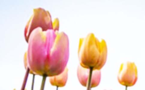 ���������������ľ��x15ƪ