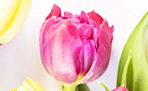 �����]������������������36ƪ