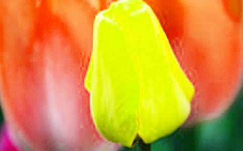 ����������������(���x15ƪ)