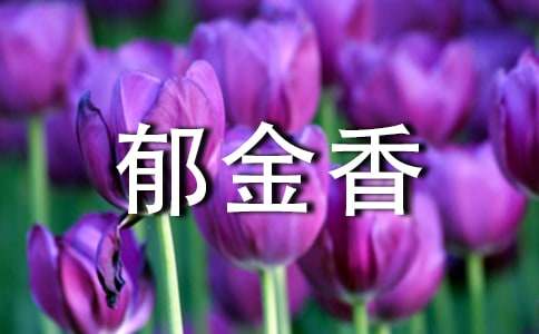 郁金香與菊花的記敘文