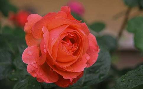 ��һ���¼��@����