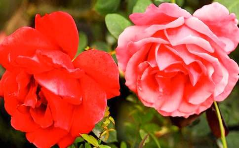 �¼������ģ����x40ƪ��