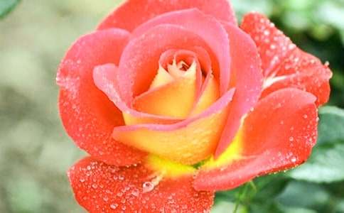 ��ϲ�g���¼�������400�֣�ͨ��42ƪ��