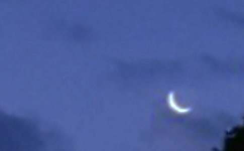 �������е�������������