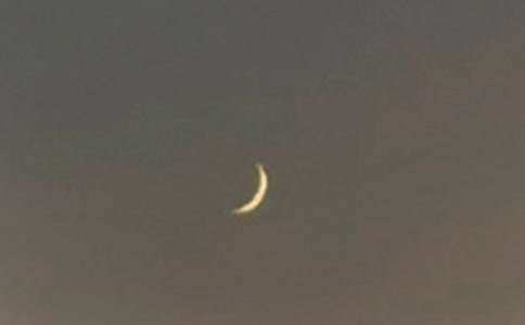 【精品】月亮作文匯編五篇