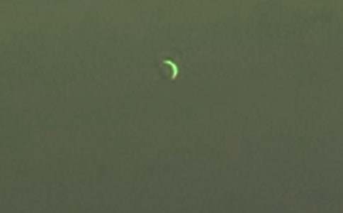 ���P(gu��n)�����������ąR��6ƪ