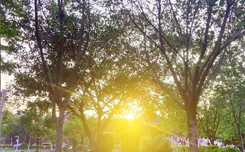 2020�꽛(j��ng)��ÿ��һ���簲���Z(y��)37��