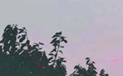 �����A���m�����ϰl(f��)���簲���Z(y��)΢��22��