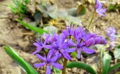 ��ů�簲���Z