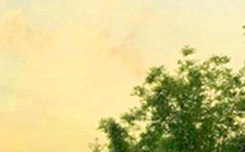 �����A�����\���簲���Z����Ȧ60�l