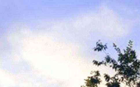 ����(sh��)�á�Ψ�����簲���Z(y��)����53�l