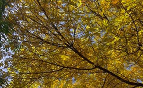 ���]Ψ���簲���Z��ȫ��ͨ��60�䣩