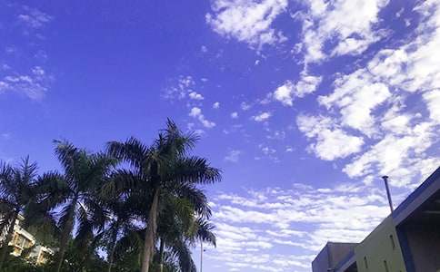 ���]��(l��)־�簲���Z��ȫ�����x195�䣩