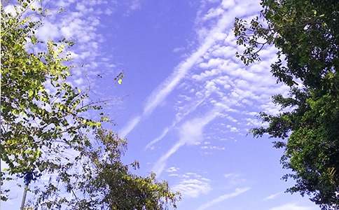 2020年簡(jiǎn)潔的溫馨的早安心語朋友圈集錦30句