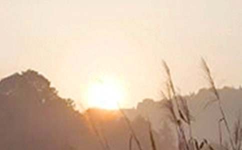 ��(j��ng)��Ψ���簲���Z�R��50�侫�x