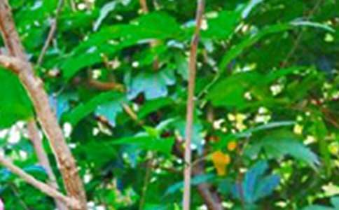 ��(y��u)�����簲���Z28��