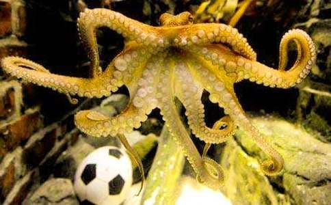 ���y�ϰW�W�����~���̰��c�̌W(xu��)��˼�ķ���