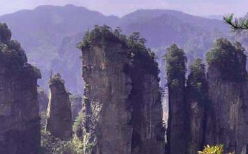 �����ď��ҽ����ģ����x37ƪ��