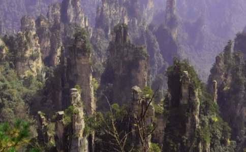 張家界旅游作文范文