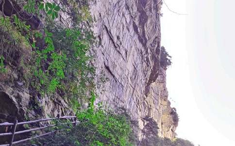 �Ώ��ҽ��ɭ�ֹ��@����