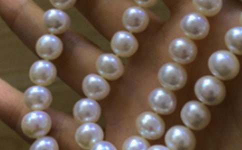 ��ʰӛ���е����������