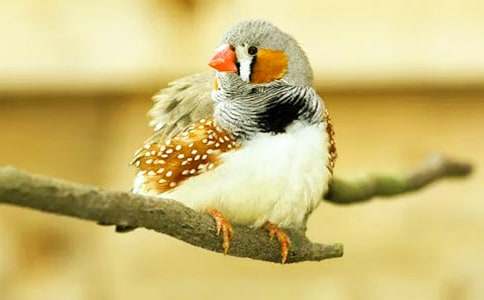 �ҵ������B����