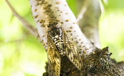 �����֪�����ģ����x68ƪ��