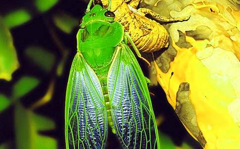 ֪��С�W�������]