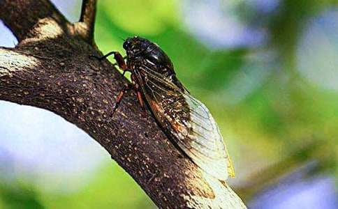 ����Ȥ�£�ץ֪��