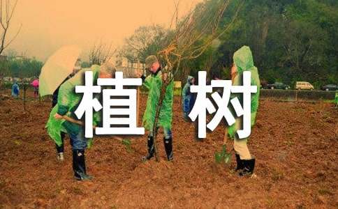 һ�꼉(j��)���P(gu��n)ֲ������ķ���