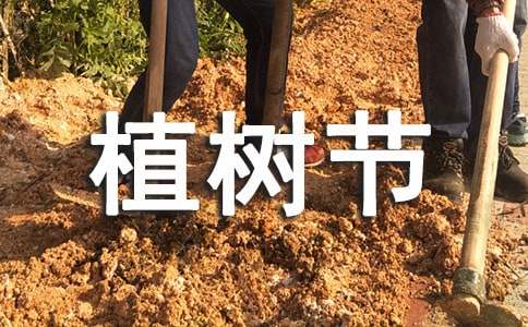 ���꼉�옷��ֲ�九(ji��)����