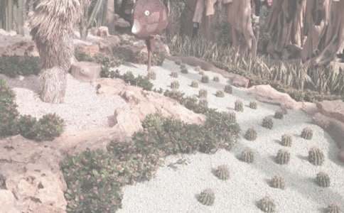 �P(gu��n)��������ֲ��@����