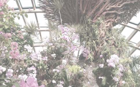 濟(jì)南植物園游記范文