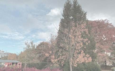 ���]������ֲ��@����