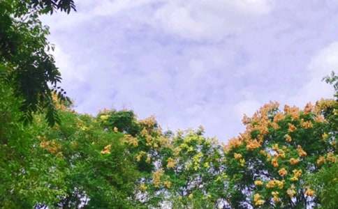 快樂(lè)的中午作文200字