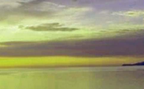 �������������(11ƪ)